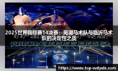 2025世界锦标赛14决赛：芜湖马术队与临沂马术队的决定性之战